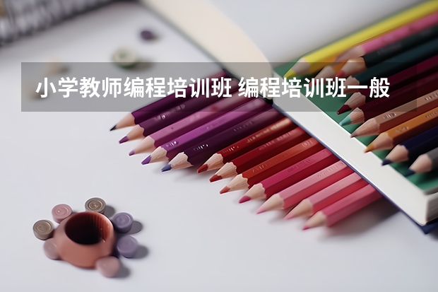 小学教师编程培训班 编程培训班一般教什么