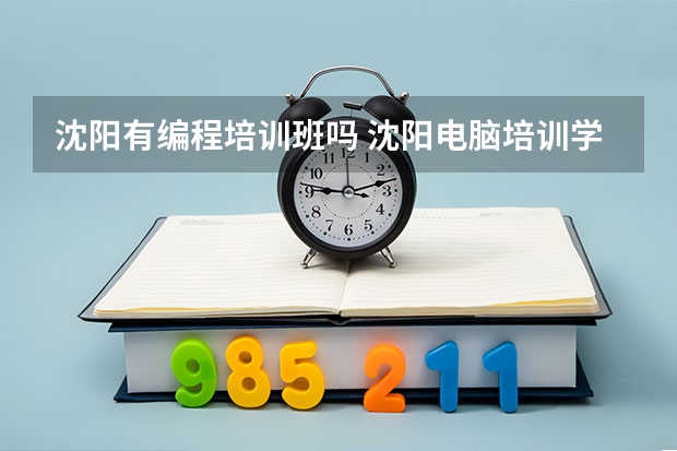 沈阳有编程培训班吗 沈阳电脑培训学校哪家好