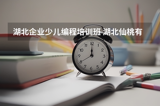 湖北企业少儿编程培训班 湖北仙桃有适合小朋友学编程的地方吗？不是成人的那种