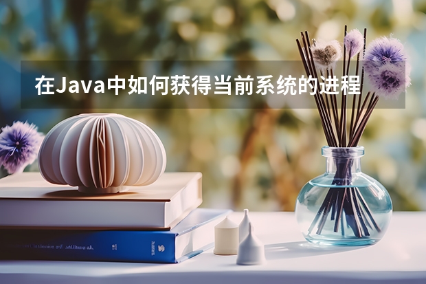 在Java中如何获得当前系统的进程信息