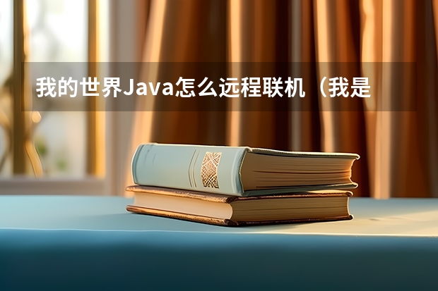 我的世界Java怎么远程联机（我是在手机上用pojav玩的，不能用子联机侠等电脑软件）要向wy一样的远程联机？