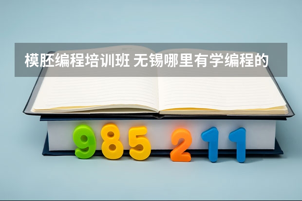 模胚编程培训班 无锡哪里有学编程的培训班