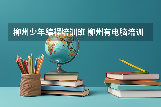 柳州少年编程培训班 柳州有电脑培训班吗。在那里，我要学电脑编程JAVA